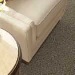 Shaw TruAccents Carpet BARN DOOR