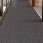 Shaw TruAccents Carpet FISH HOOK