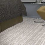 Shaw TruAccents Carpet SNOWFALL
