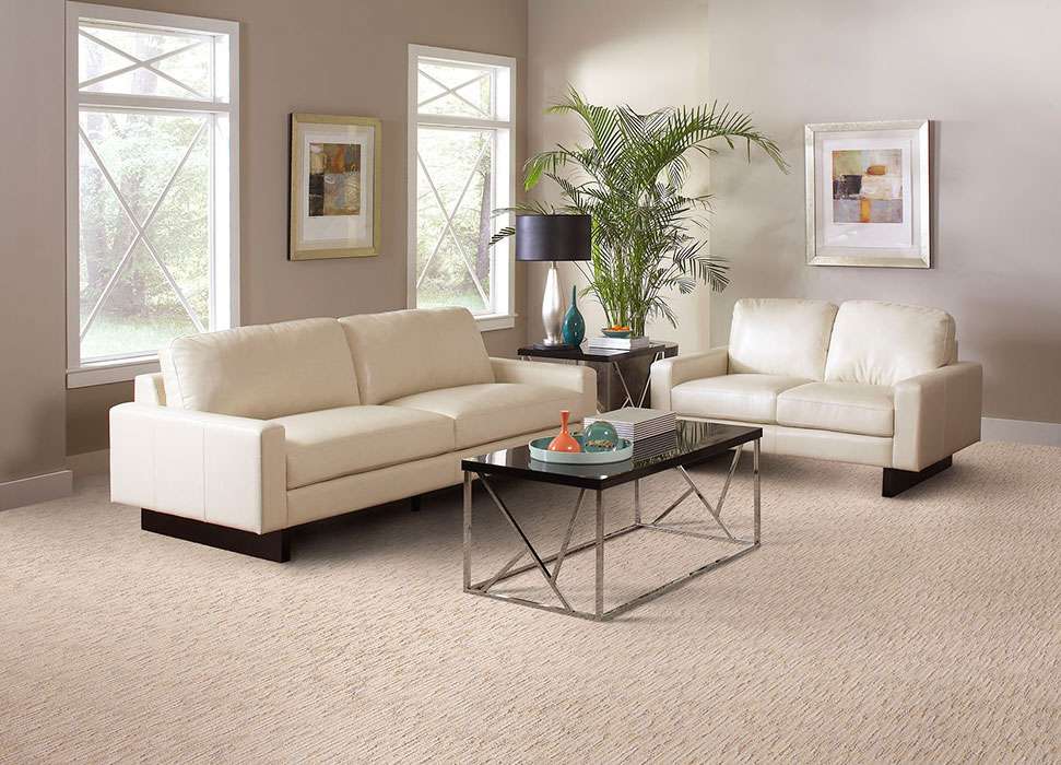 Masland Carpets Carpet Hardwood