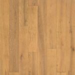 European Oak Carrera