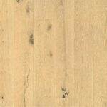 European Oak Fremont