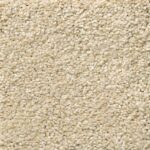 Shaw Carpet Anso Colorwall Sun Kissed 110S