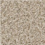 Shaw Carpet Anso Colorwall Vacay 00171