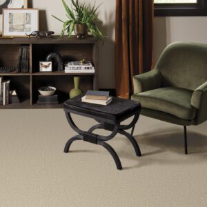 Anderson Tuftex luxury carpet